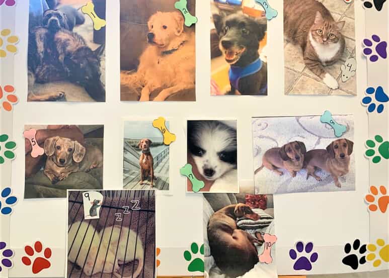 PMH-Cutest Pet Contest Pictures 2021