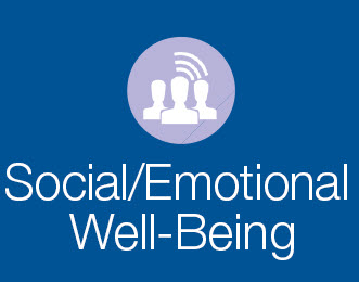 social emotional well being
