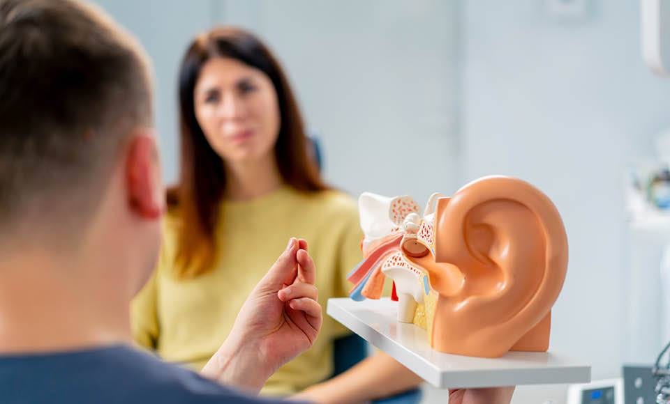 Ear Nose and Throat (ENT)