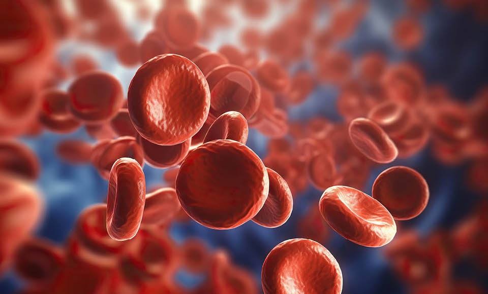 Anticoagulation Management