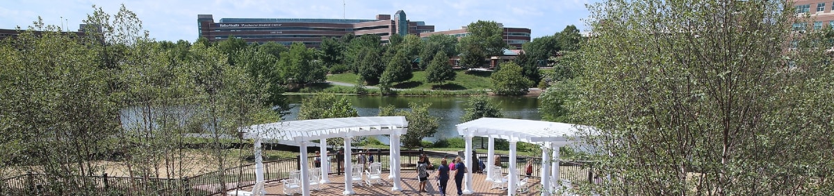 river and trees with Winchester medical center in background