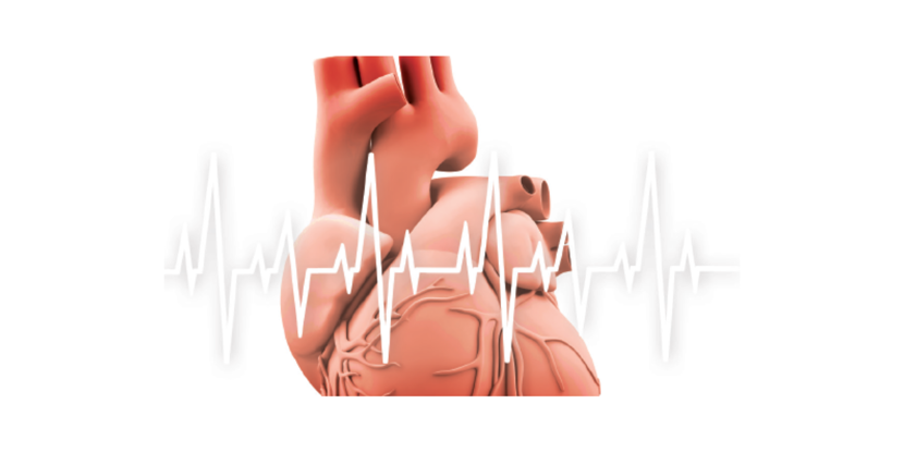 Basic Essentials of 12 Lead EKG Interpretation