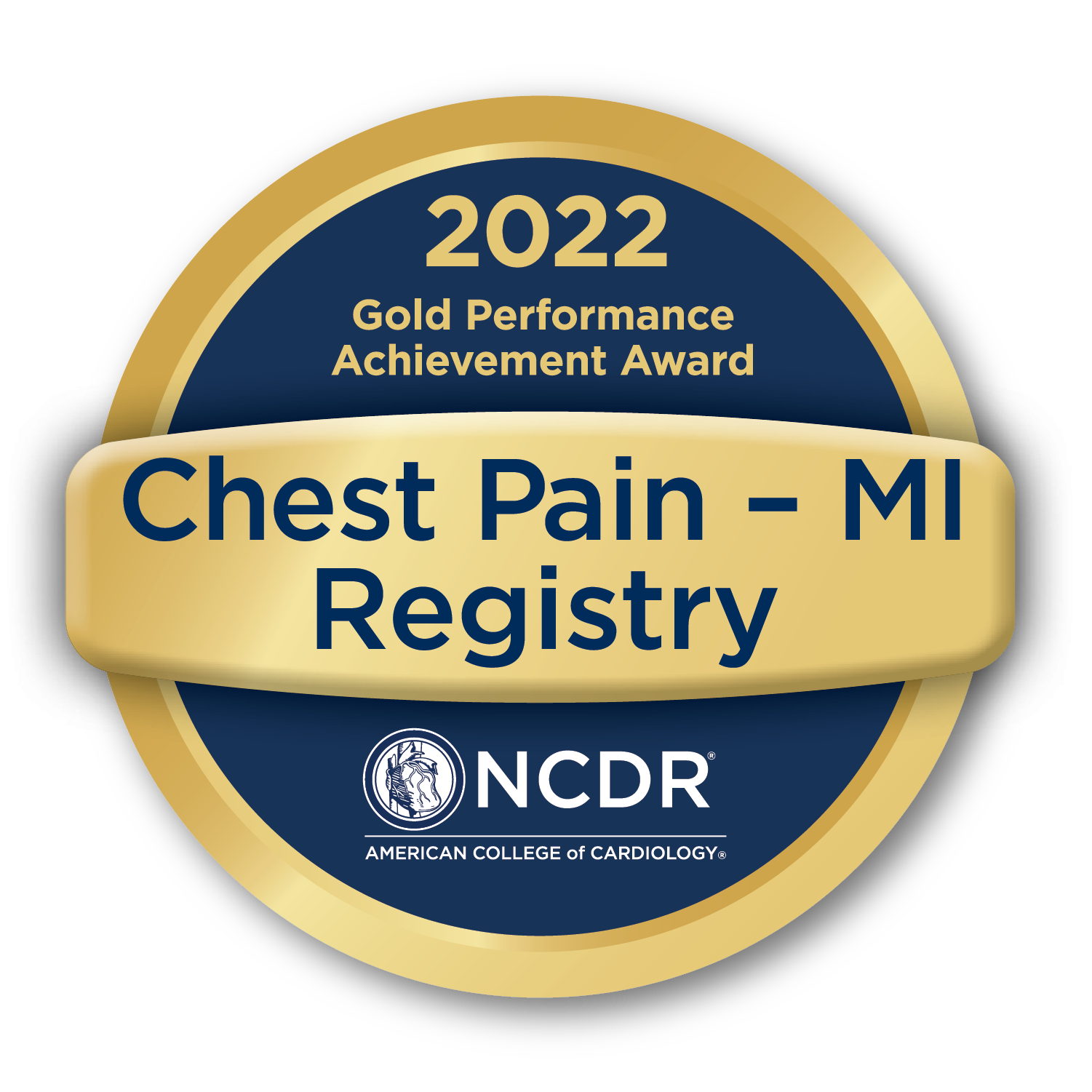 B22010 CPMI PAA Seals GOLD